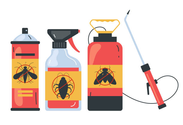 Best Termite Control Services  in Islip Terrace, NY