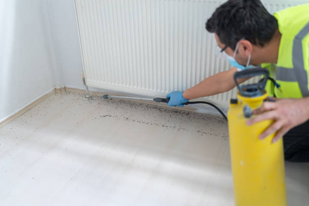 Best Pest Prevention Services  in Islip Terrace, NY